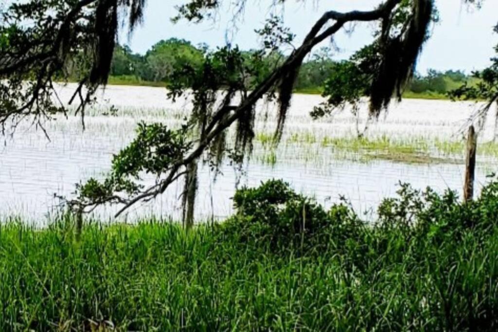 Frogmore Secluded Tiny House By The Marsh With Hunting Island Beach Pass מראה חיצוני תמונה