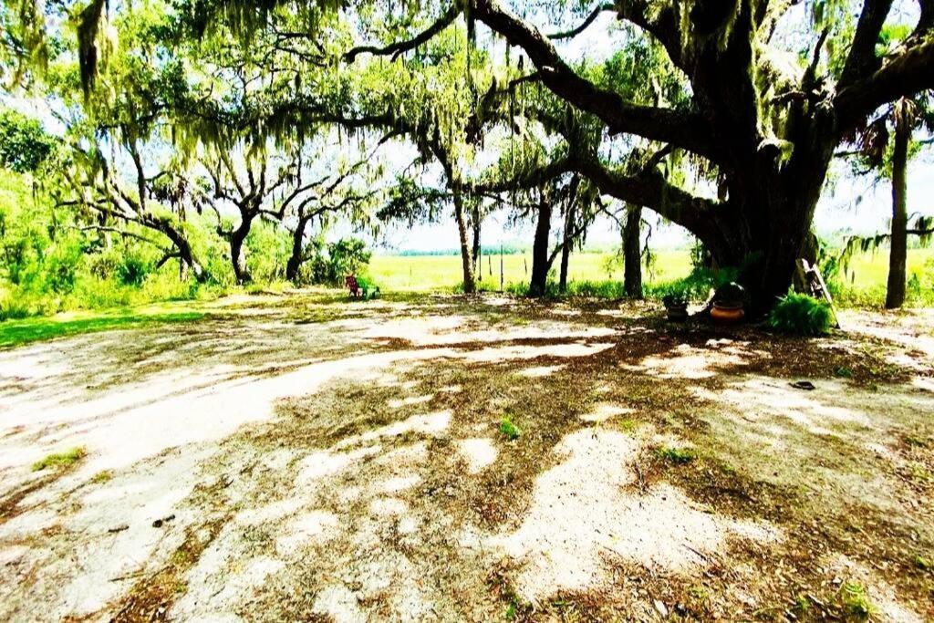 Frogmore Secluded Tiny House By The Marsh With Hunting Island Beach Pass מראה חיצוני תמונה