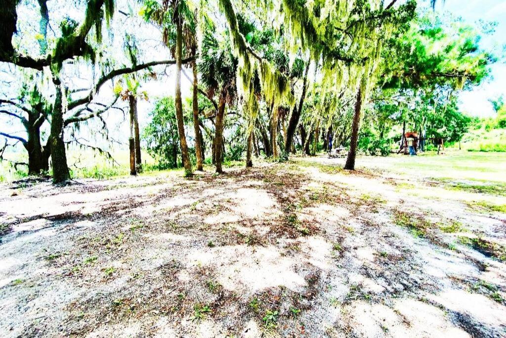 Frogmore Secluded Tiny House By The Marsh With Hunting Island Beach Pass מראה חיצוני תמונה